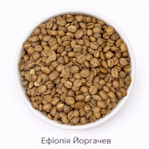 Ефіопія Йоргачев